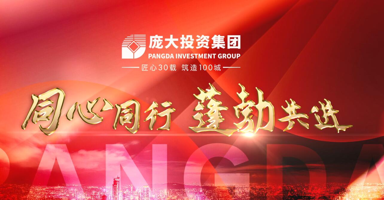 庞大投资集团